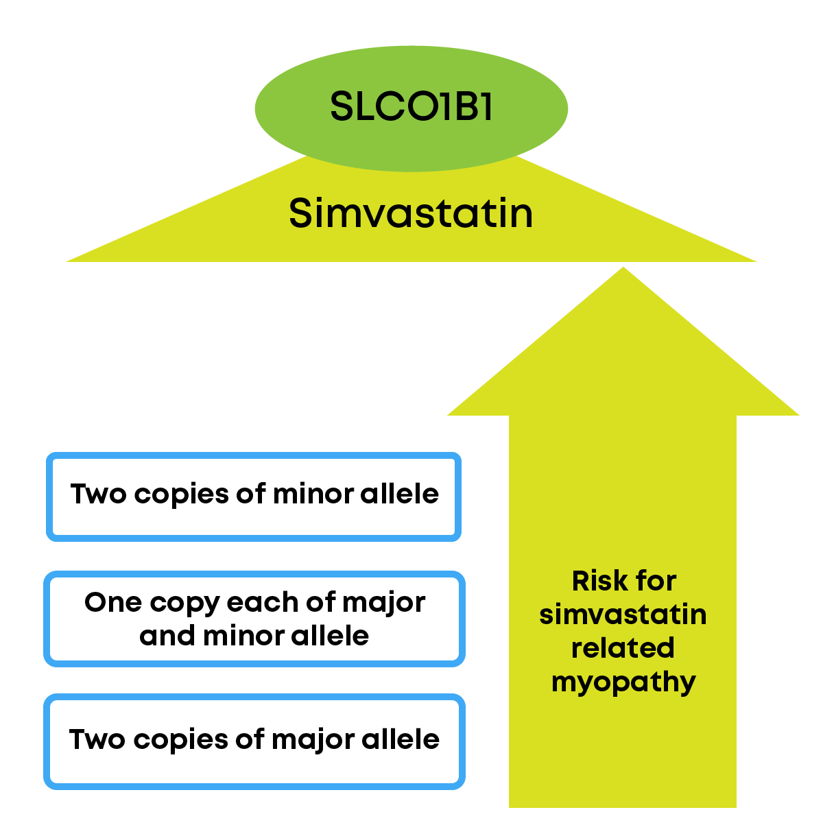 Infographic